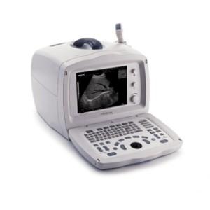 Echographe portable 2200